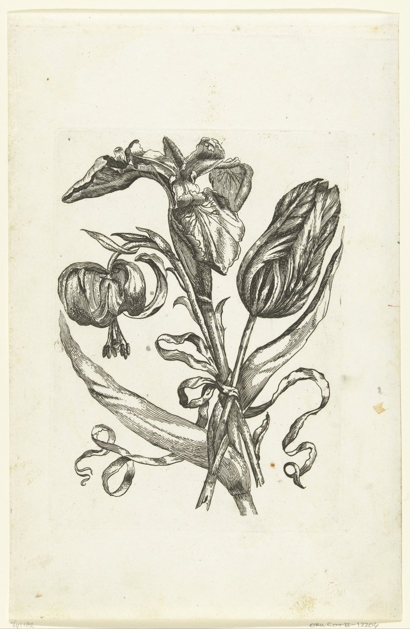 Lys, iris et tulipe - Anonymous