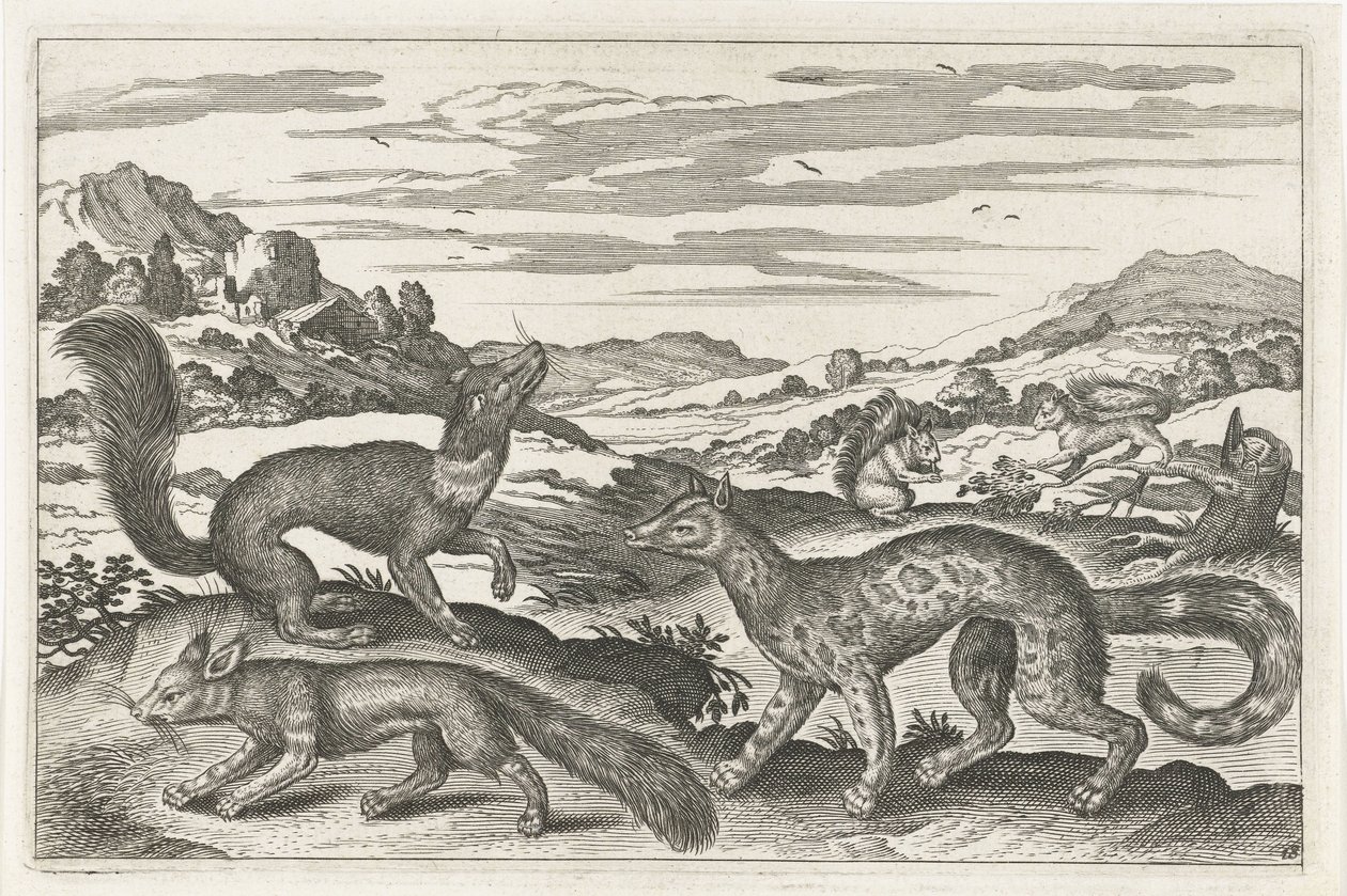 Martres, écureuils et un renard - Anonymous