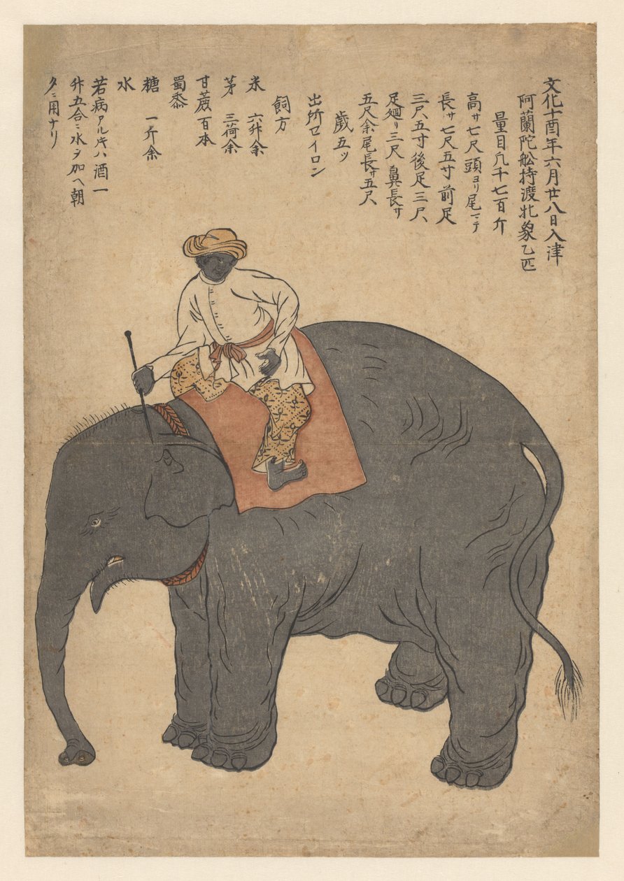 Éléphant apporté par un navire néerlandais en 1813 - Anonymous