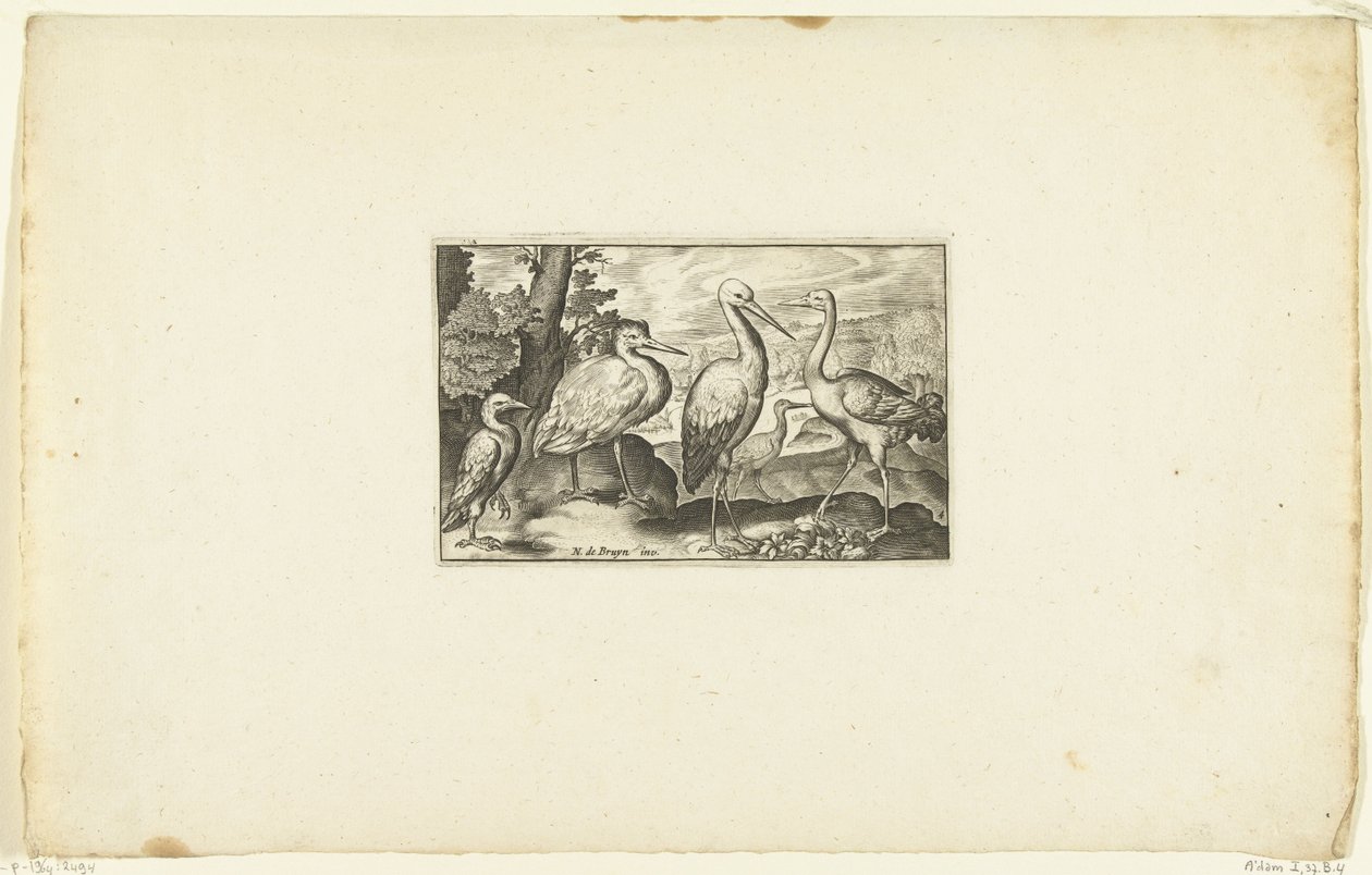 Cigogne entre deux autres oiseaux - Anonymous
