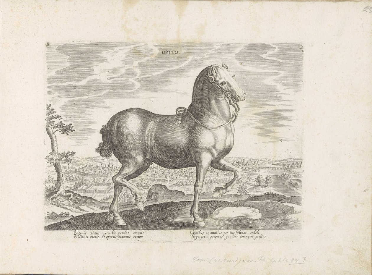 Cheval d