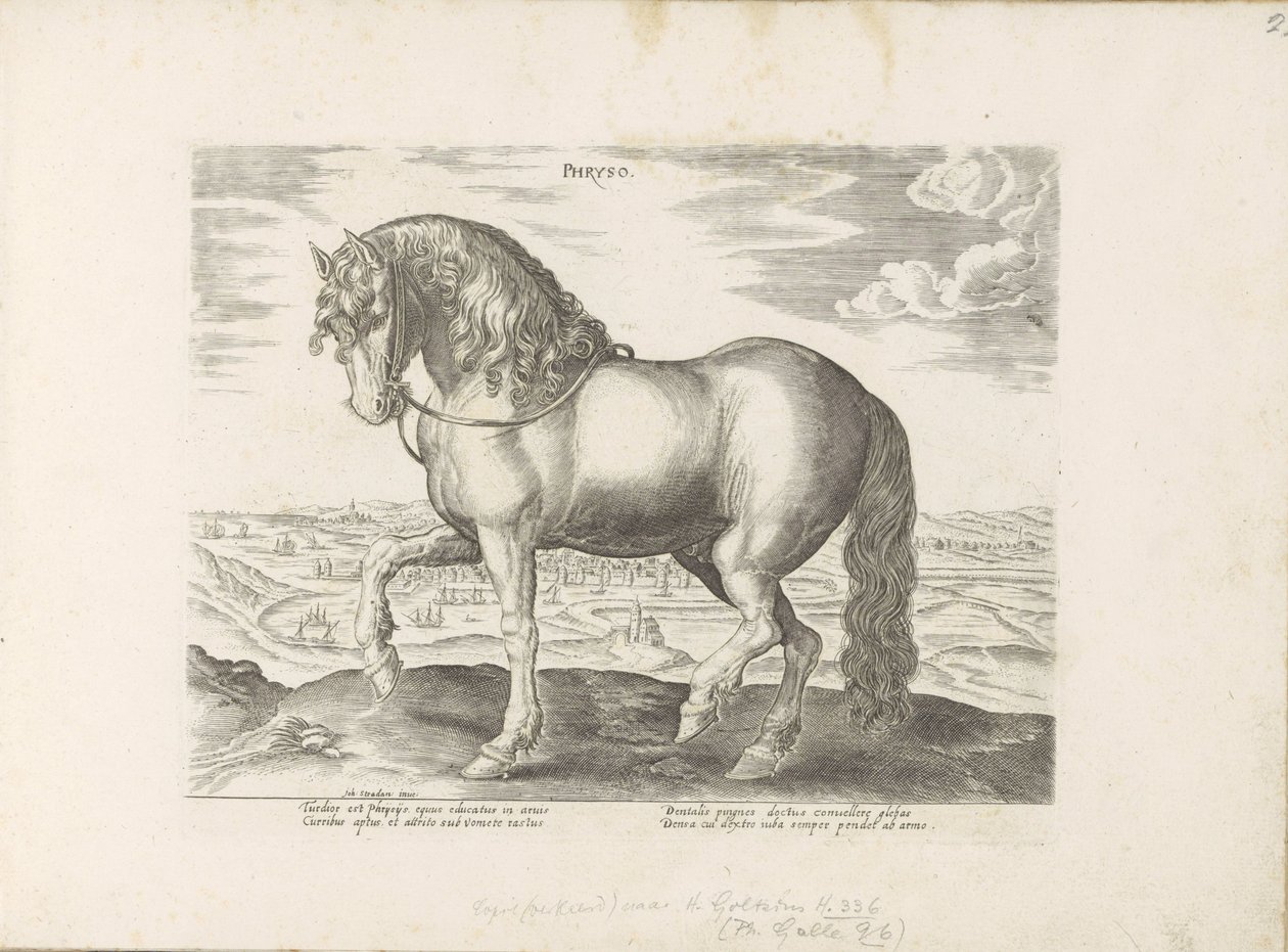 Cheval de Frise - Anonymous