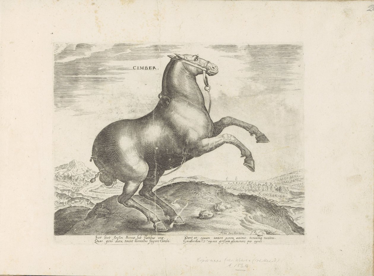 Cheval de Scythie - Anonymous