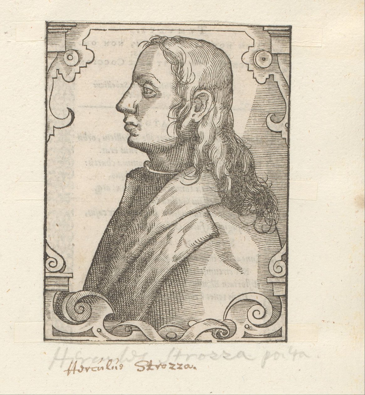 Portrait d