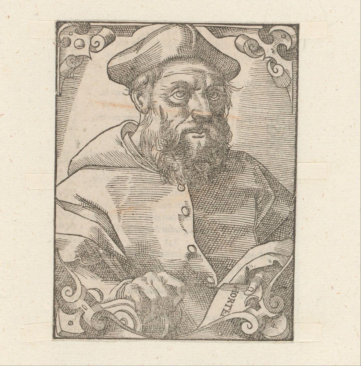 Portrait de Jacopo Sadoleto - Anonymous