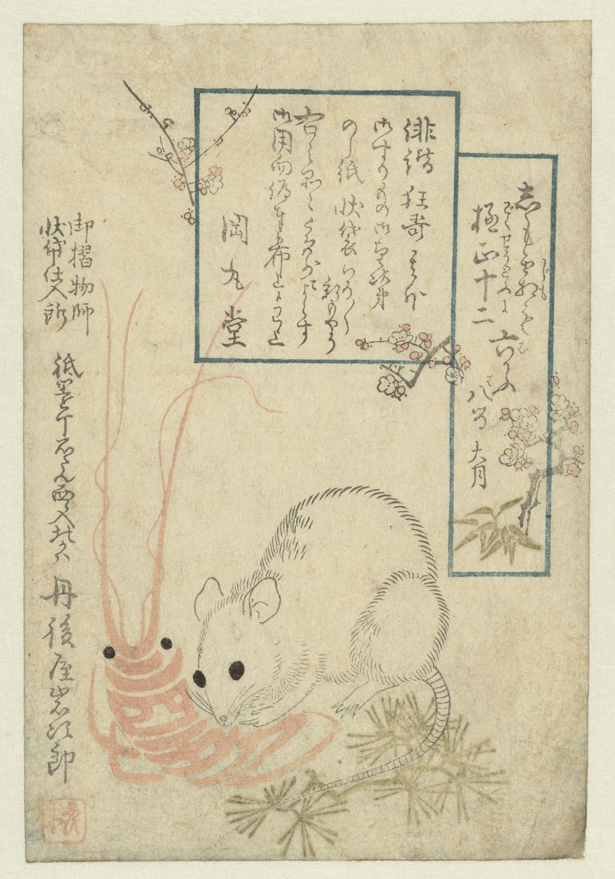 Rat avec écrevisse - Anonymous