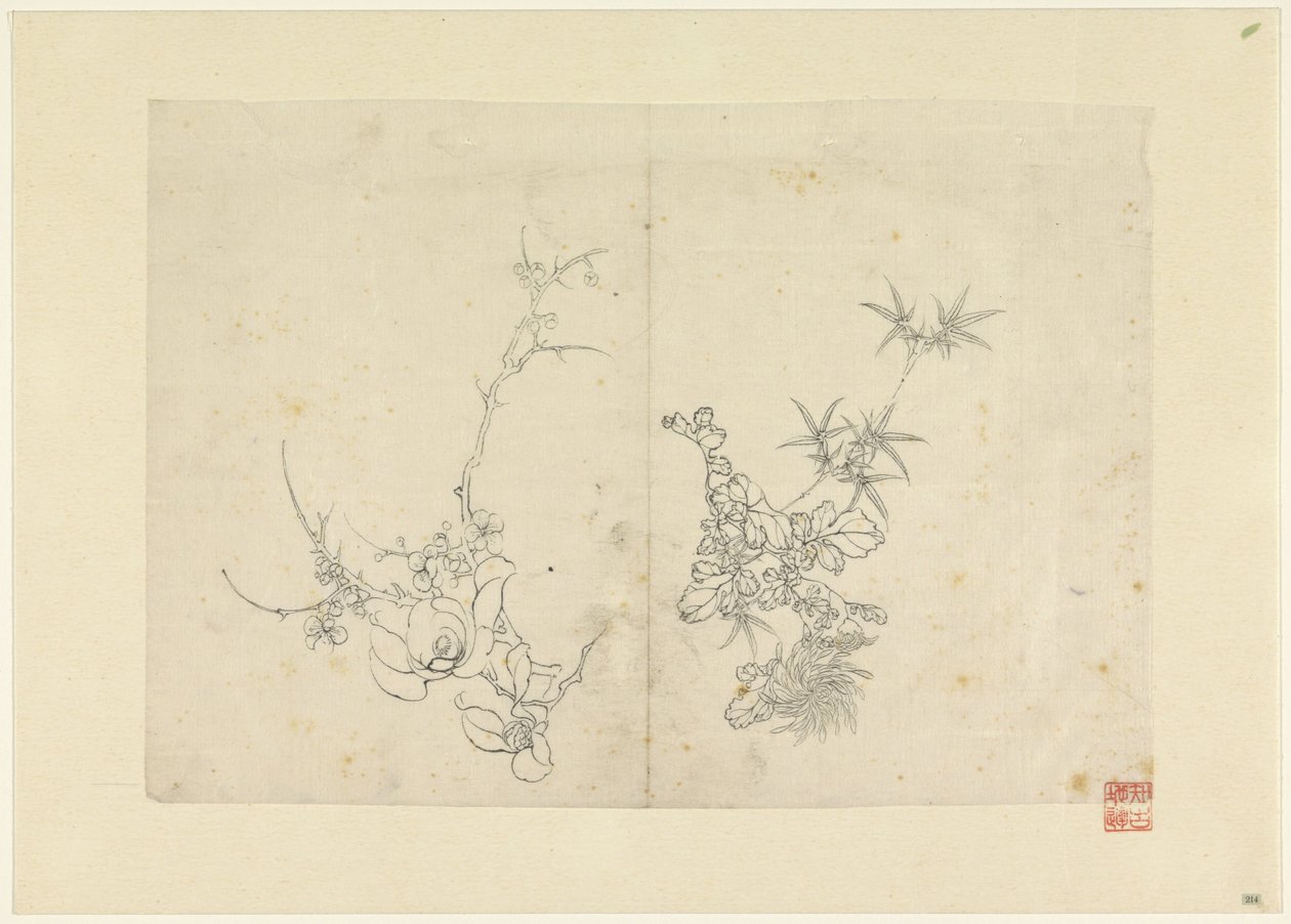 Feuille d