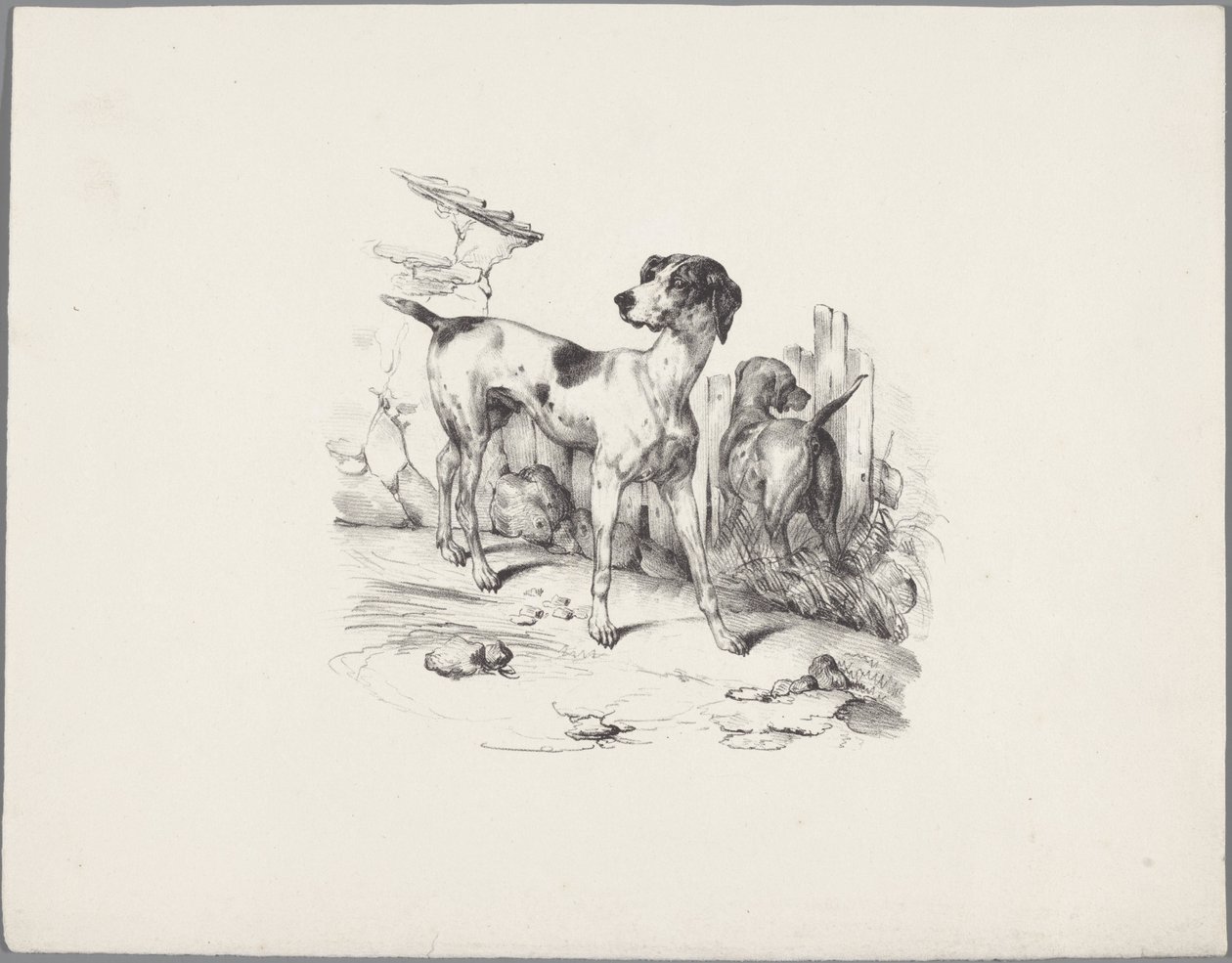 Deux chiens près d
