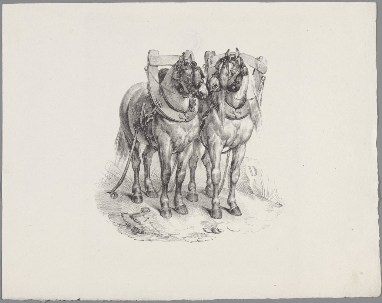 Deux chevaux harnachés - Anonymous