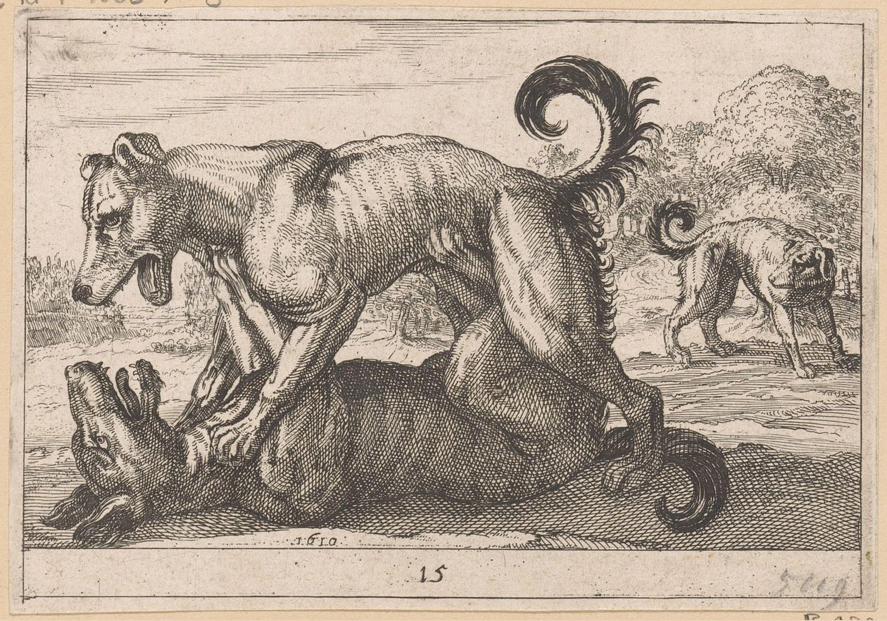 Deux chiens s
