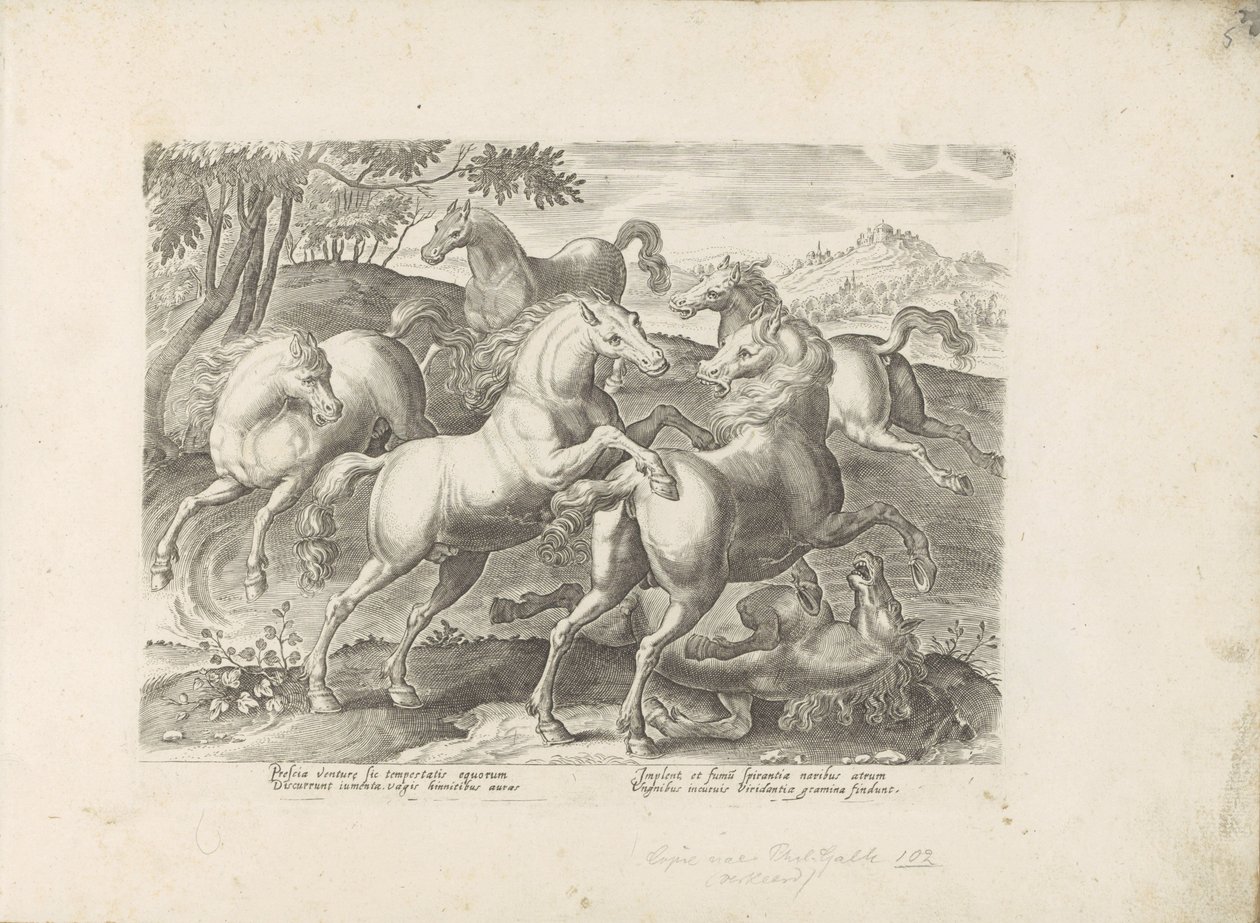 Chevaux combattants avec un cheval piétiné - Anonymous