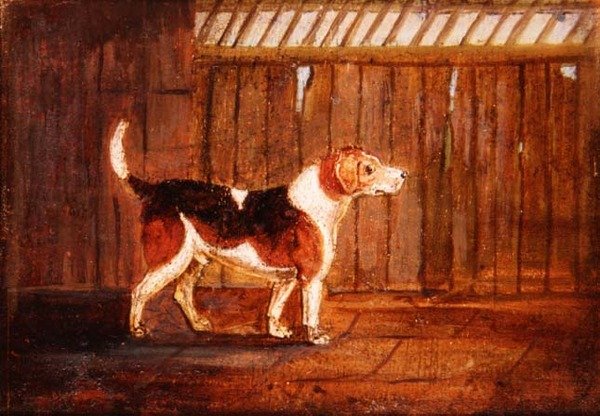 Un chien de chasse - Anonymous Anonymous