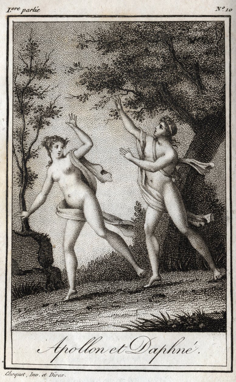 Apollon et Daphné. La nymphe Daphné se transforme en laurier pour échapper à Apollon. Gravure de 1819 dans "Lettres à Emilie sur la mythologie" par Charles Albert Demoustier (1760-1801). Collection privée. - Anonymous Anonymous