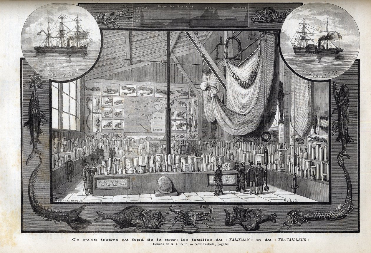 Exposition au Musée d