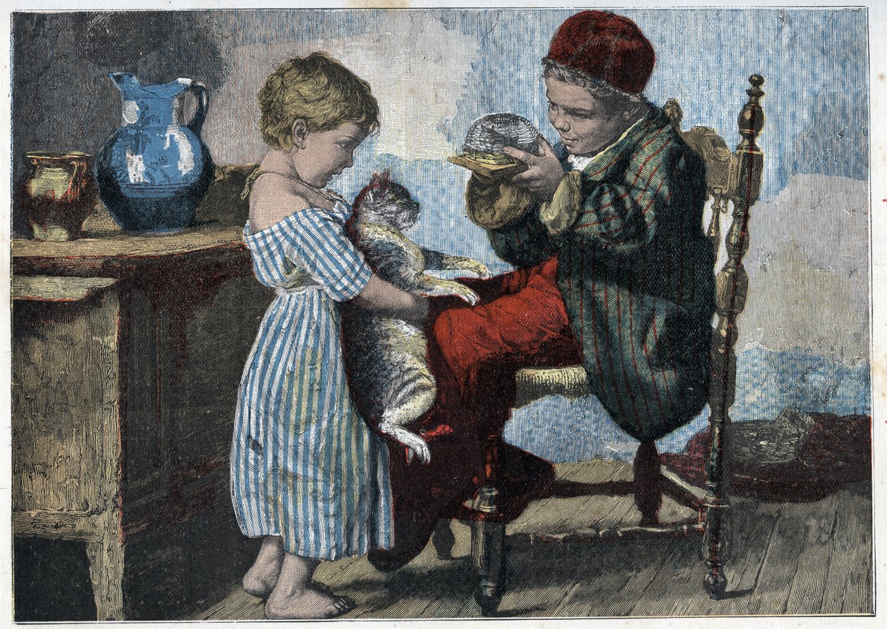 Les étrennes de Minou. Gravure de la fin du 19ème siècle. Collection privée. - Anonymous Anonymous