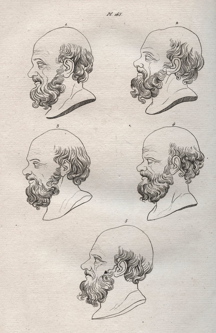 Physionomie - Plusieurs têtes du philosophe grec Socrate (gravure) - Anonymous Anonymous