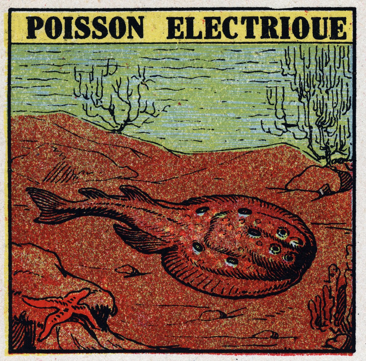 Effets physiologiques de l