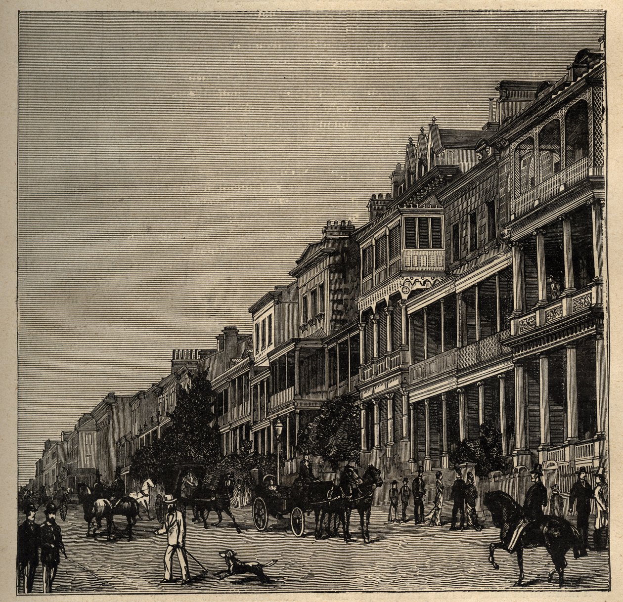 Sydney - Australie - 1890 - gravure de 1890. - Anonymous Anonymous