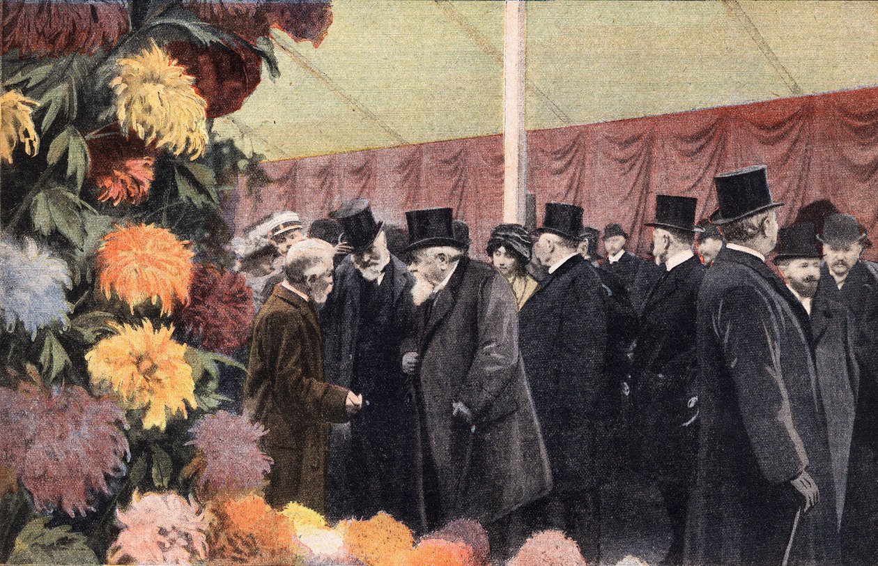 La fête du chrysanthème : exposition officielle de chrysanthèmes. Gravure. Un des journaux « Le petit parisien » du 20/11/1910. Collection privée. - Anonymous Anonymous