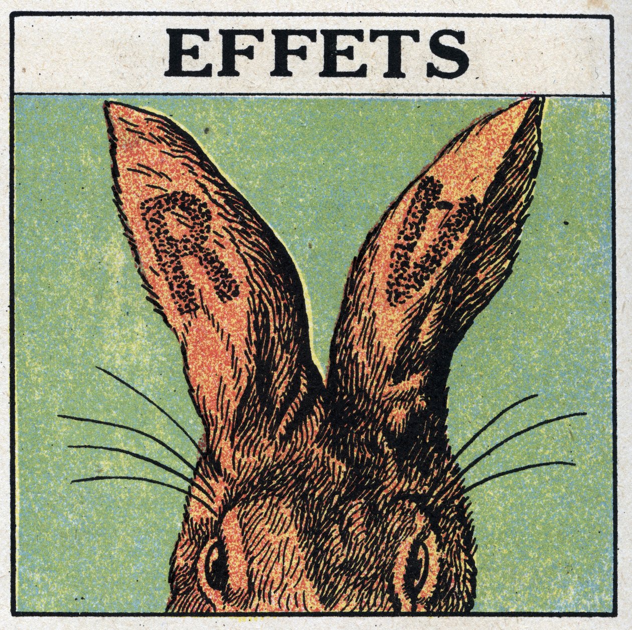Rayons ultraviolets : effets. On couvre les oreilles d