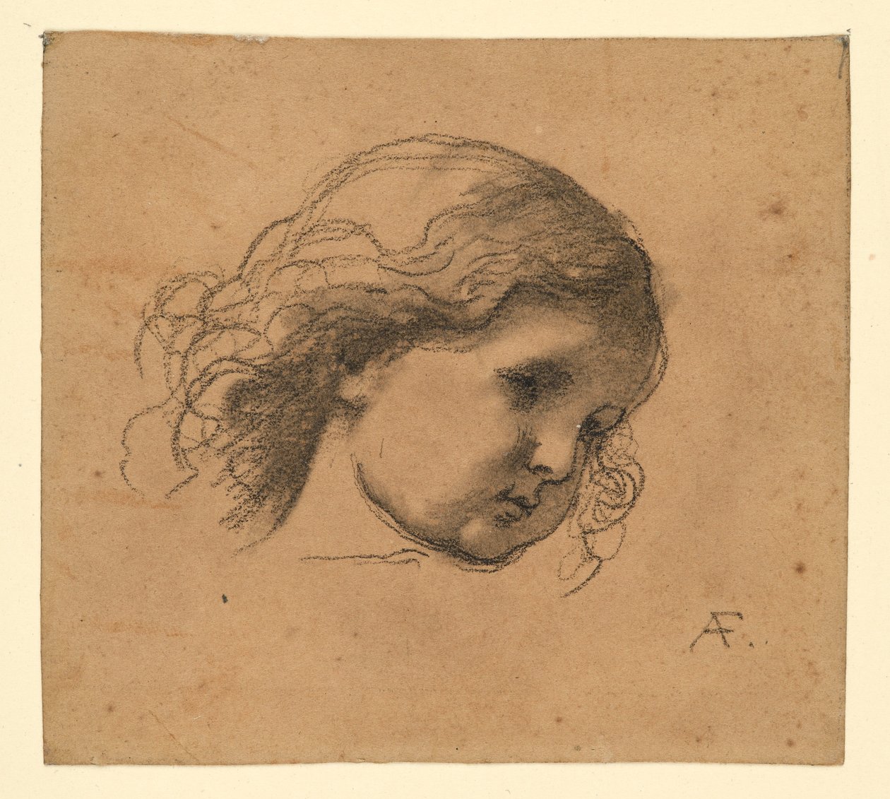 Tête bouclée d