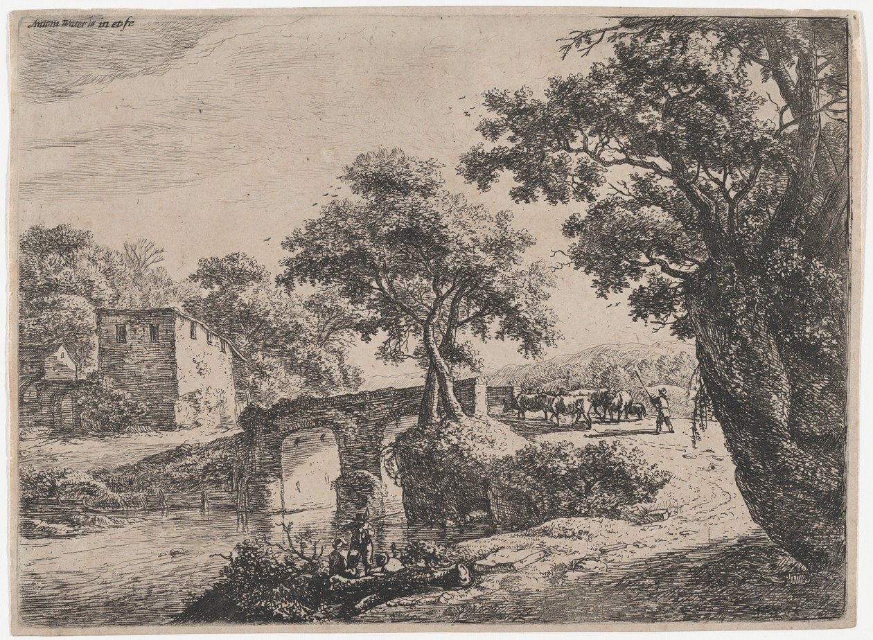 Troupeau près d