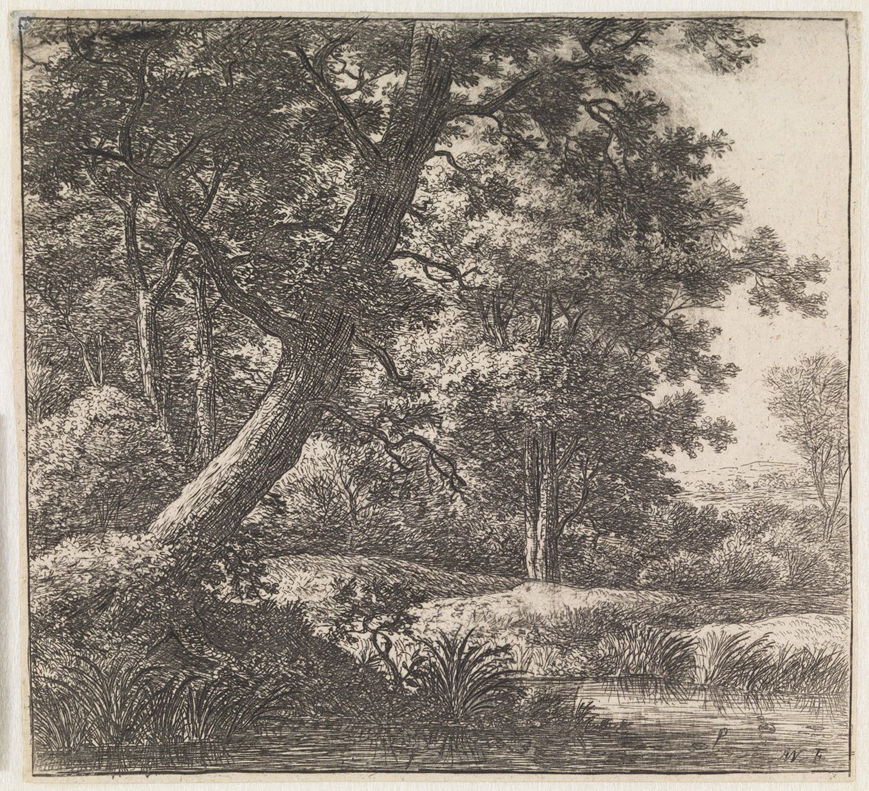 Arbre poussé de travers - Anthonie Waterloo