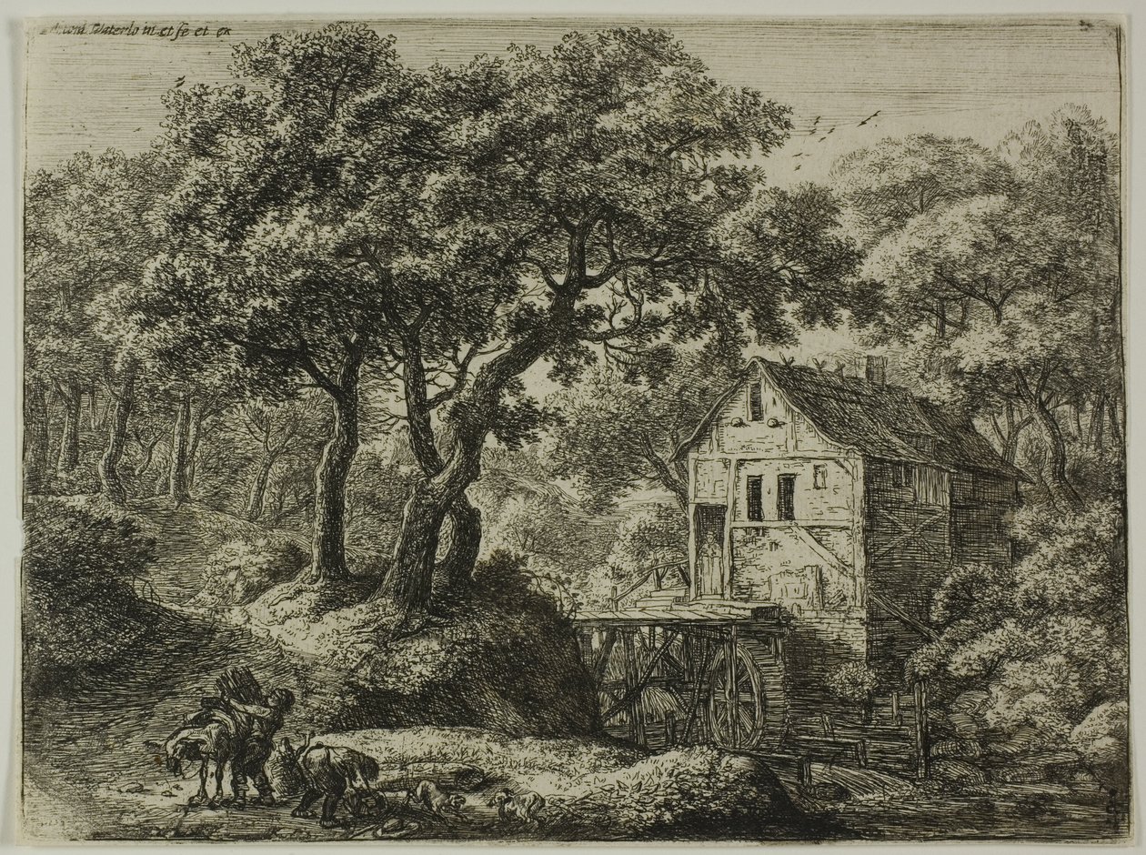 Le moulin dans le bois - Anthonie Waterloo
