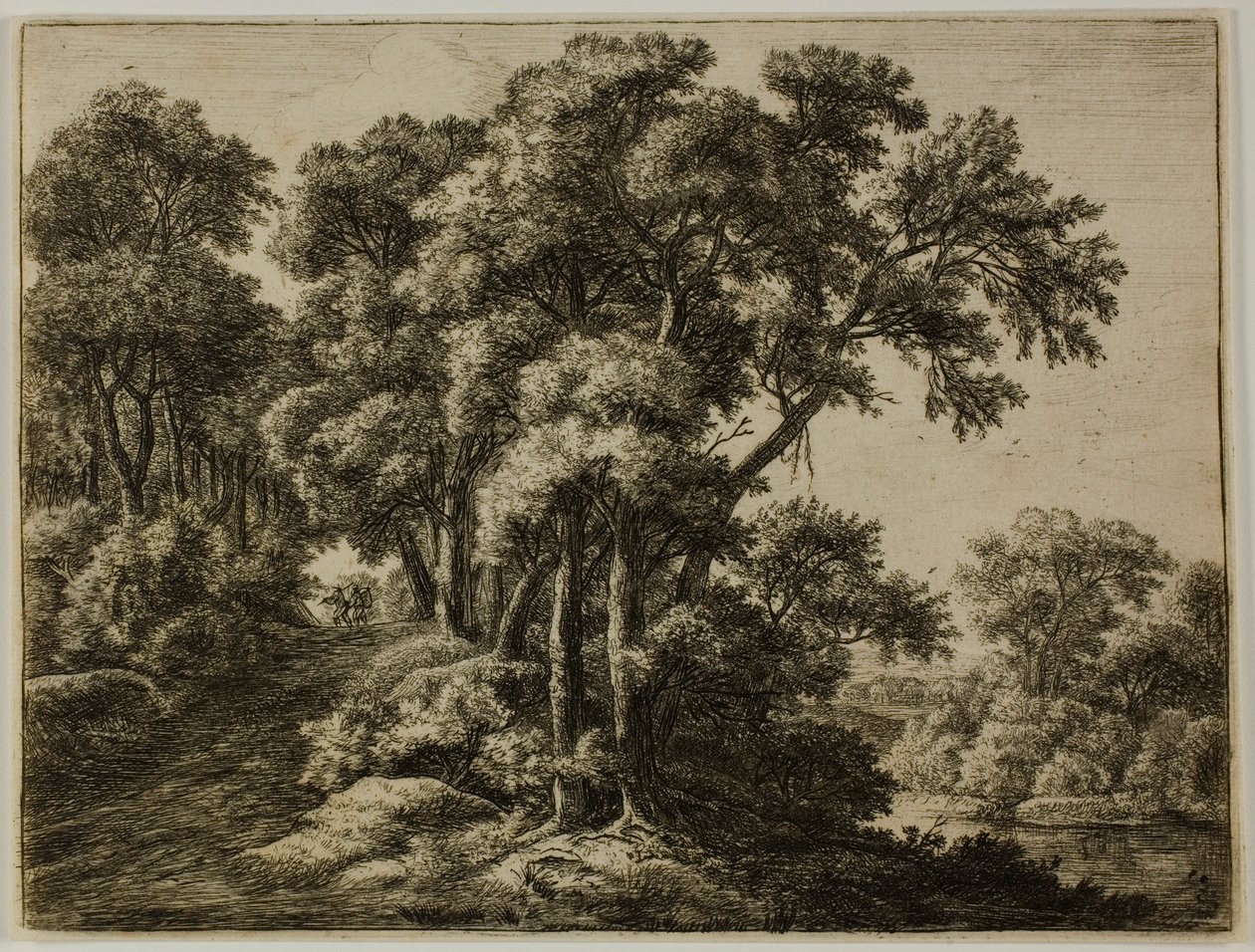 Le sentier boisé - Anthonie Waterloo
