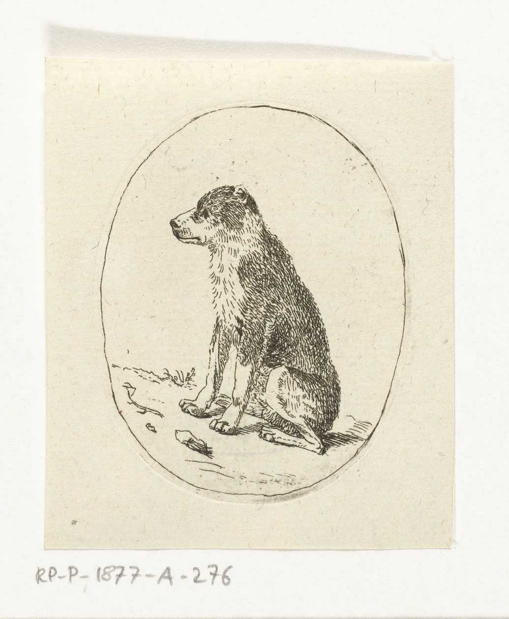 Chien assis - Anthonie van den Bos
