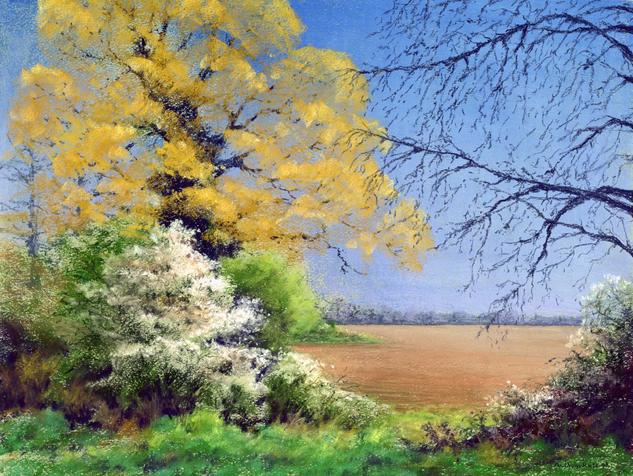 Hiver de prunellier, 2003 - Anthony Rule