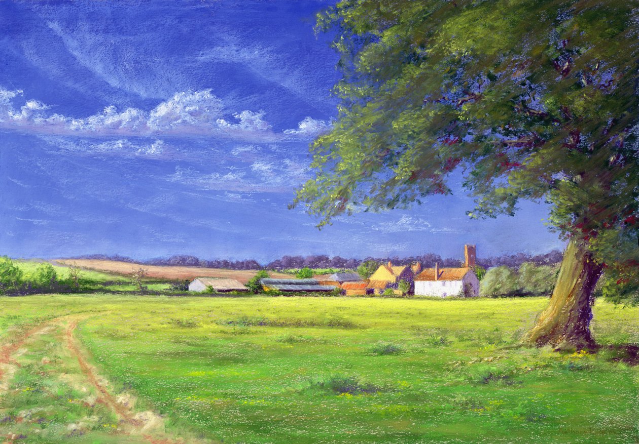 Champ de la maison, 2004 - Anthony Rule