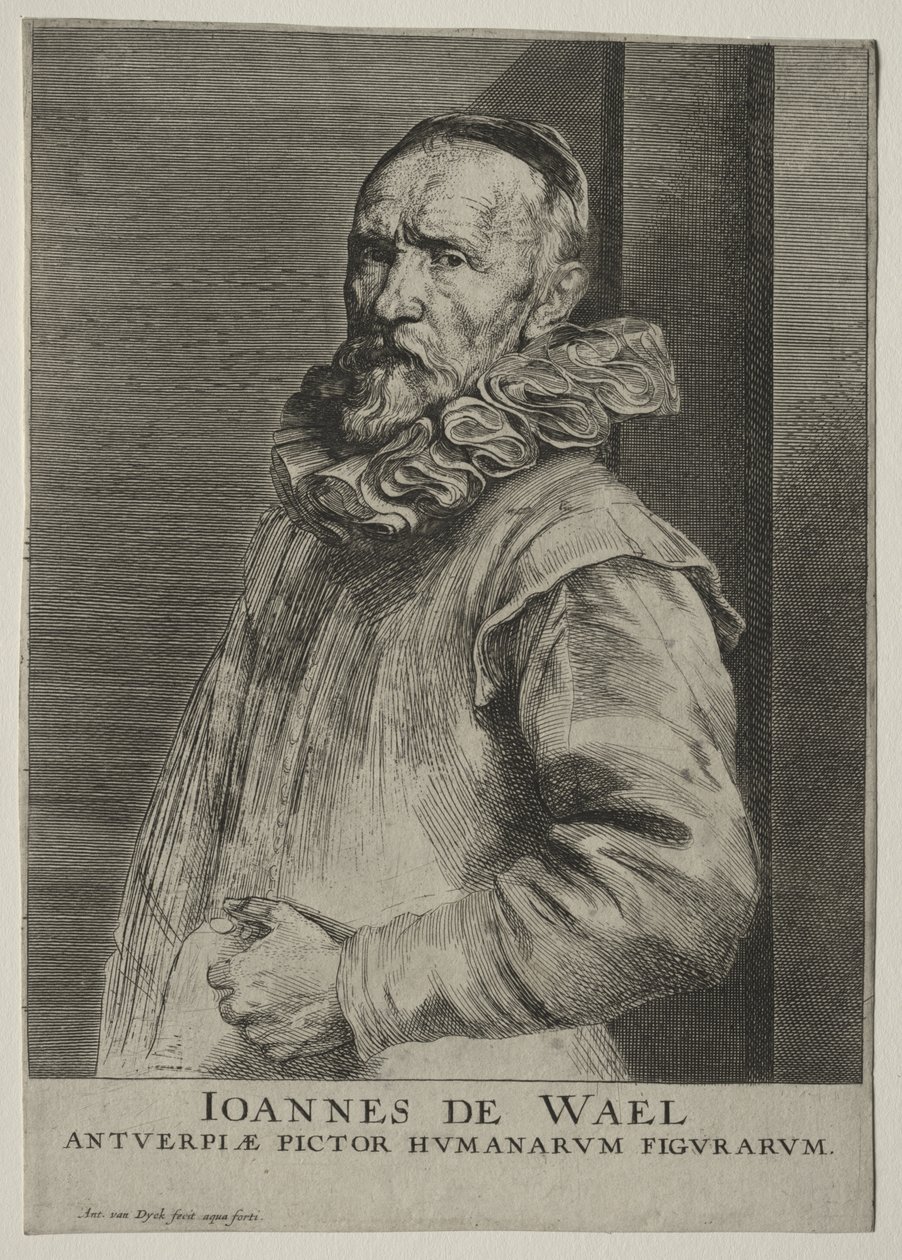 Portrait de Jan de Wael Nevers - Anthony van Dyck