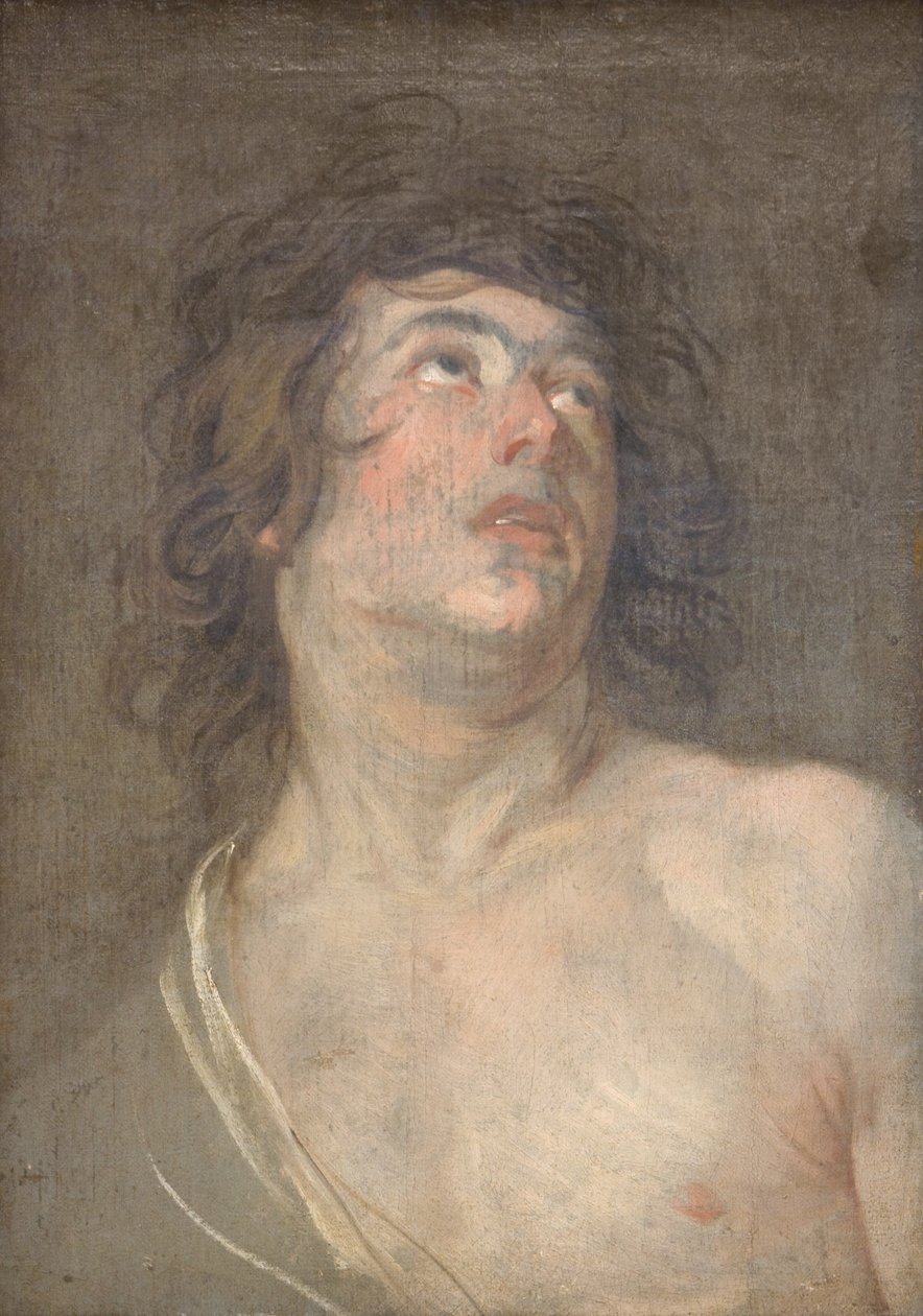 Étude de la tête d