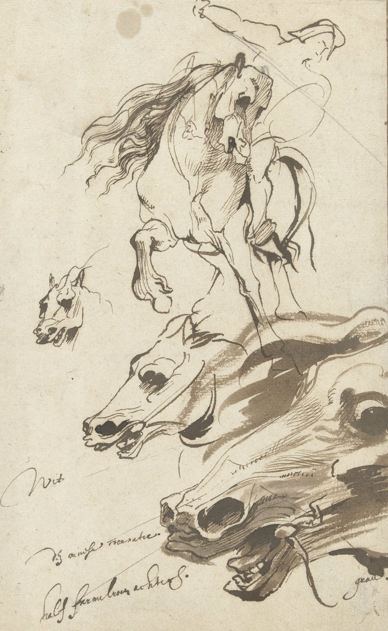 Étude de cavalier et tête de cheval, 1620-1 - Anthony van Dyck