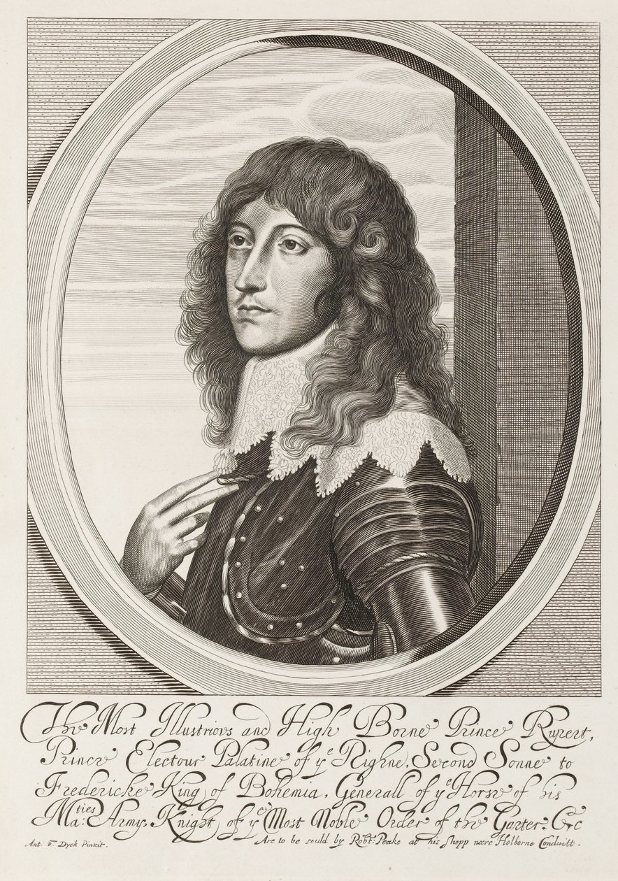 ?Le très illustre et noble prince Rupert?, vers 1640 - Anthony van Dyck