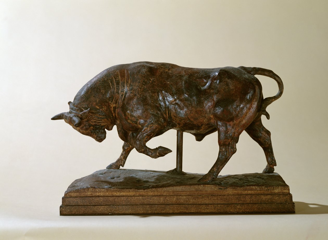 Petit taureau - Antoine Louis Barye
