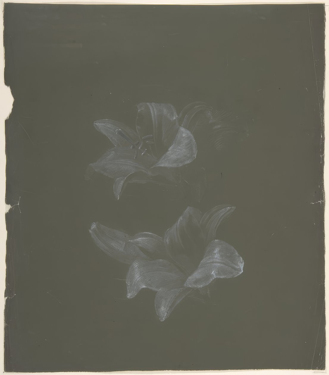 Motif floral - Antoine Berjon