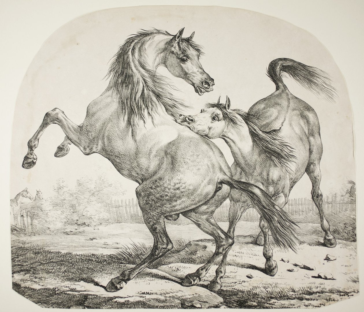 Chevaux sauvages se battant, vers 1820 - Antoine Charles Horace Vernet