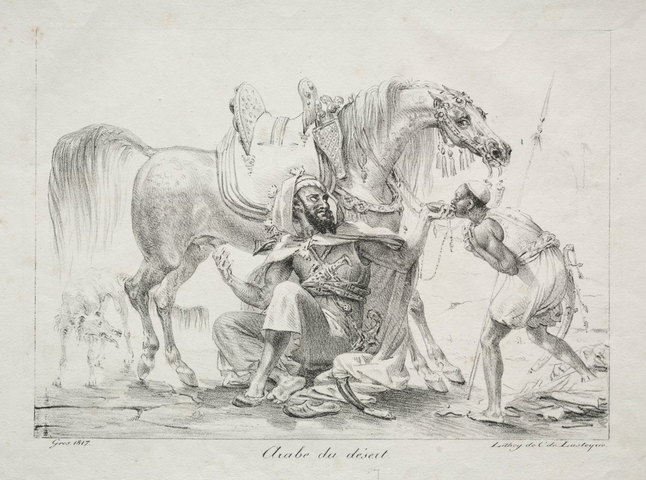 Arabe du désert - Antoine Jean Gros
