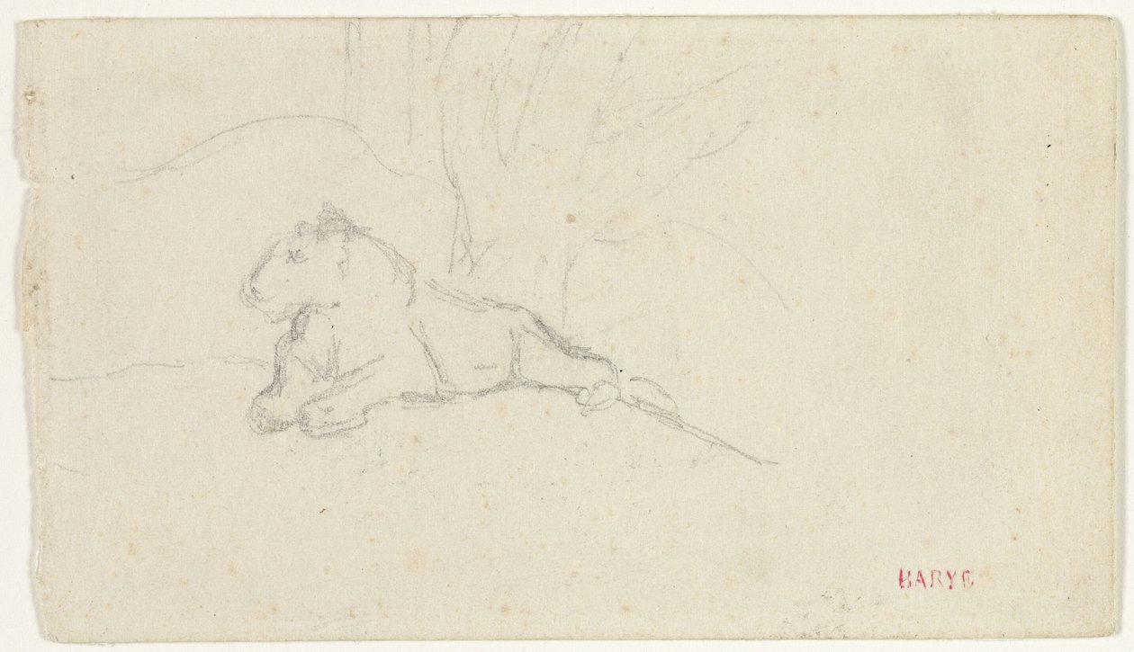 Lionne couchée près d