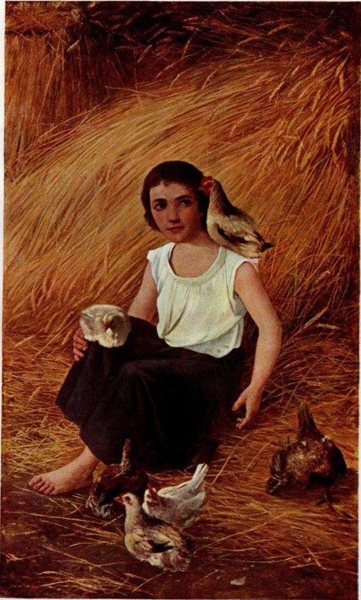 Mes bonnes poules - Anton Gvajc