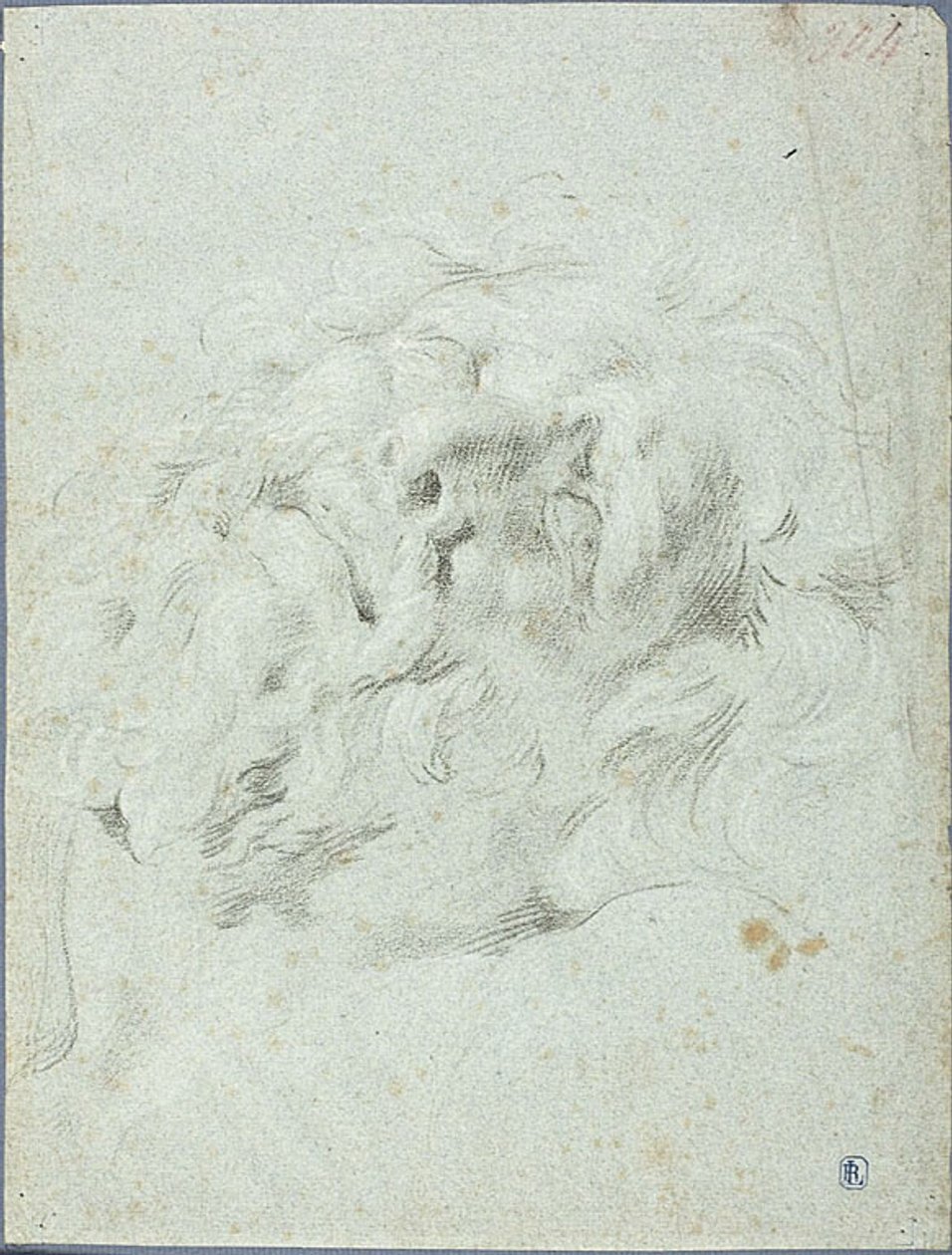 Tête du groupe Laocoon - Anton Domenico Gabbiani