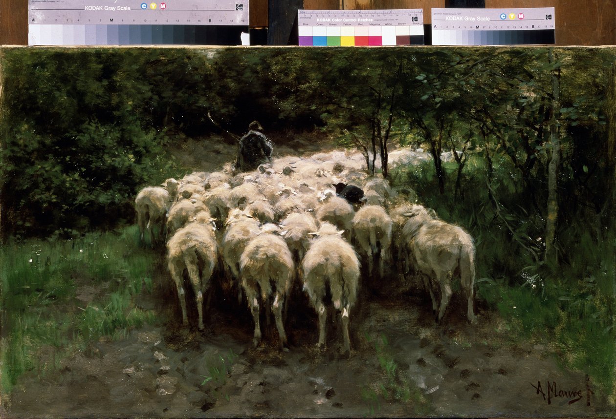 Moutons dans la forêt - Anton Mauve