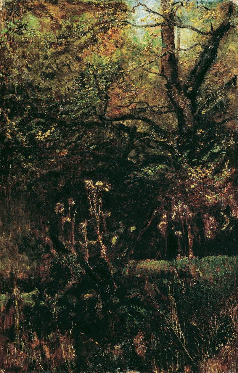 Clairière avec chardons - Anton Romako