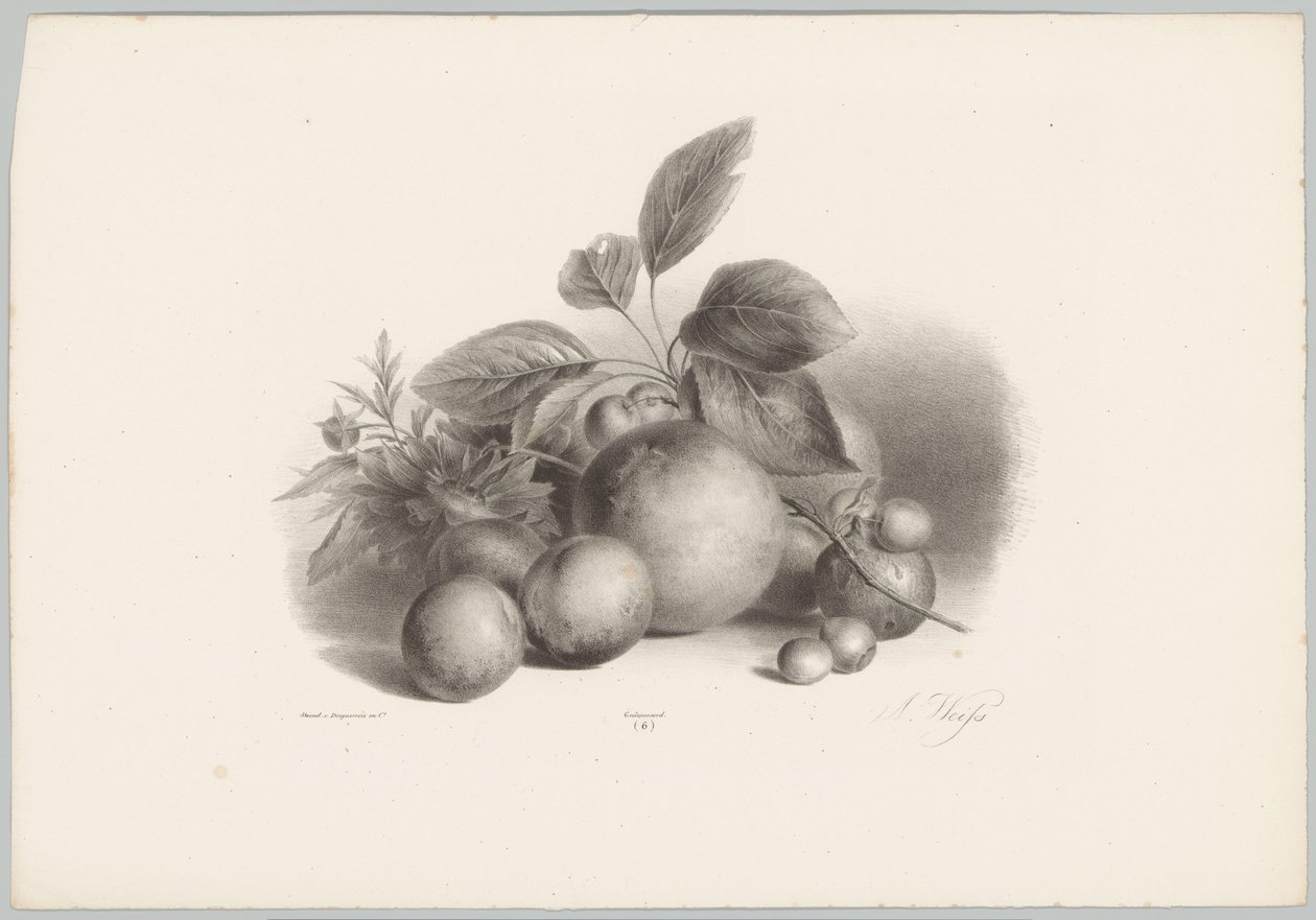 Fleurs, nectarines et noisettes (Bloem en Fruit Studien, 10e aflevering) - Anton Weiss