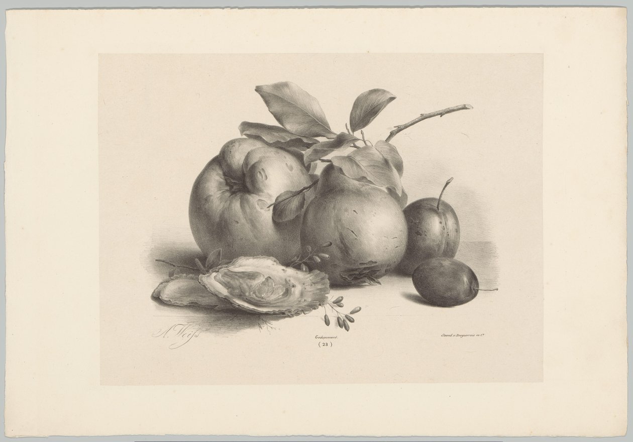 Fruits, prunes et huîtres (Bloem en Fruit Studien, 10e aflevering) - Anton Weiss