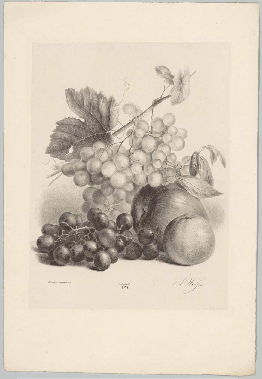 Raisins rouges et blancs et pommes (série: Études de fleurs et de fruits, 10e livraison) - Anton Weiss