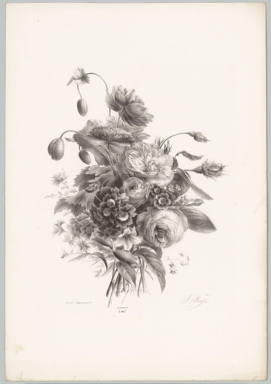 Roses et autres fleurs - Anton Weiss