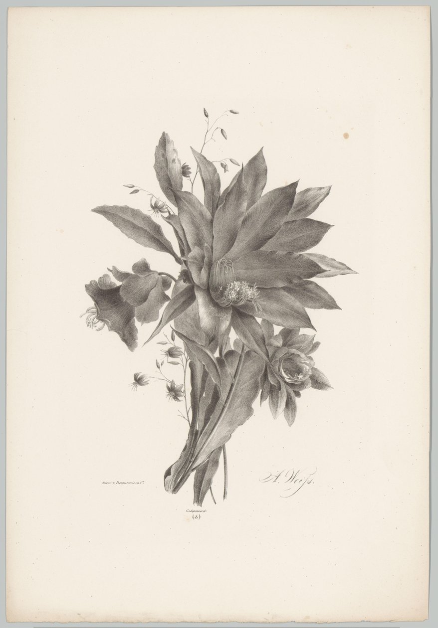 Fleurs en forme d
